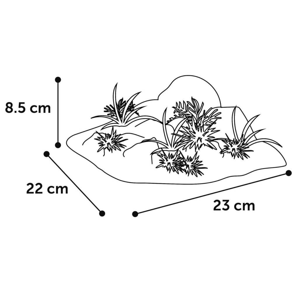 Décoration angle, roche + plante, 23 x 22 x 8,5 cm, aquarium. - Image 5