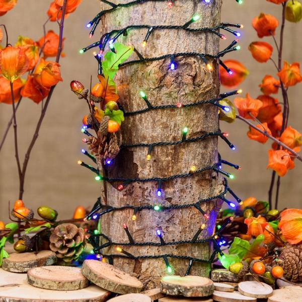 Lotti - Guirlande lumineuse multicolore 24,5M 600 LED 8 jeux mémoire timer verte extérieure Lotti - Imagen 5