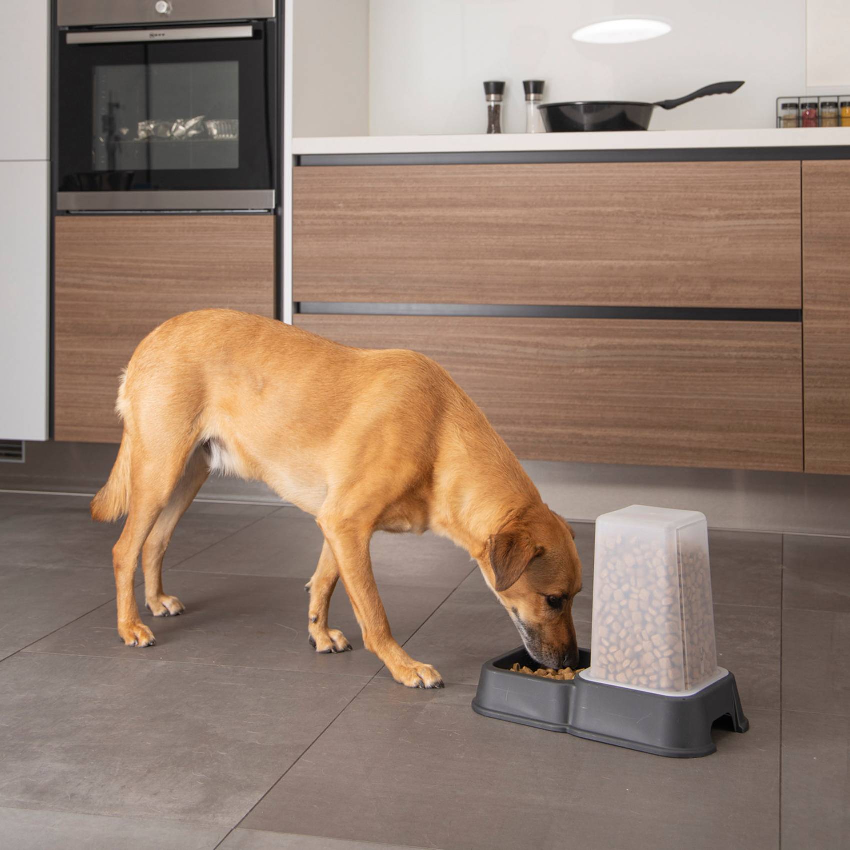 Love Story - Distributeur d'eau et de croquettes pour chien et chat - Love Story - Image 2