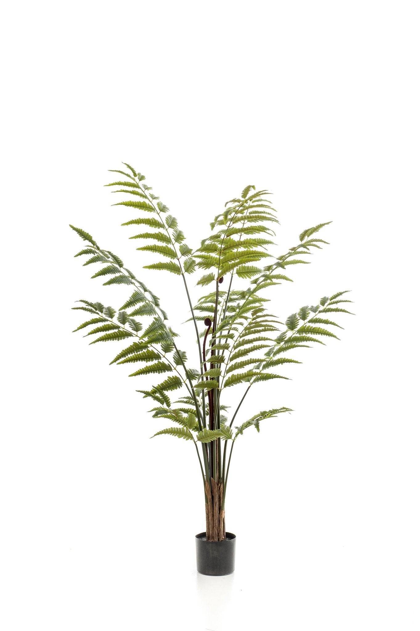 La Green Touch - Fougère plante artificielle - h150cm, Ø12cm- La Green Touch - Imagen 6