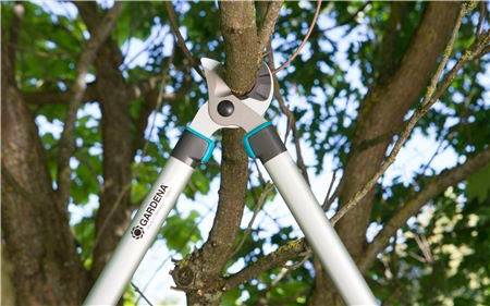 Gardena - Coupe-branches EasyCut 680A lame à enclume Gardena - Imagen 3