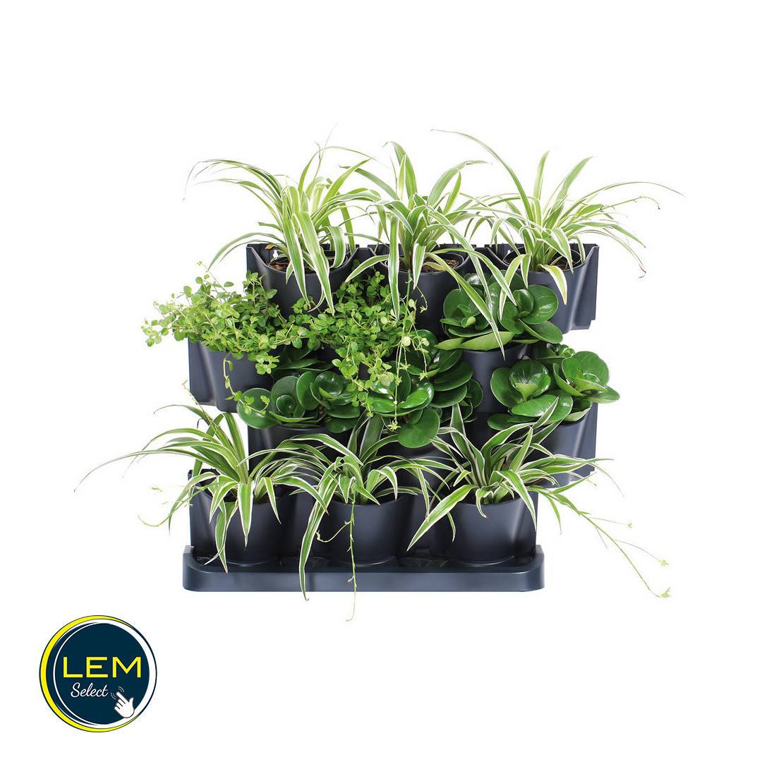 Lem Select - Jardinière Pot verticale Cascade Garden en plastique couleur anthracite 68,5 (L) x 19 (l) x 54,6 (H) cm - Imagen 3