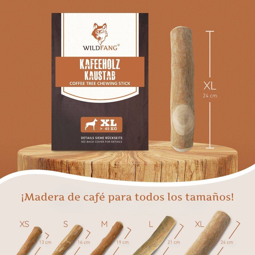 Wildfang - Wildfang - Café sur bois causab - 3 x XL - Image 2