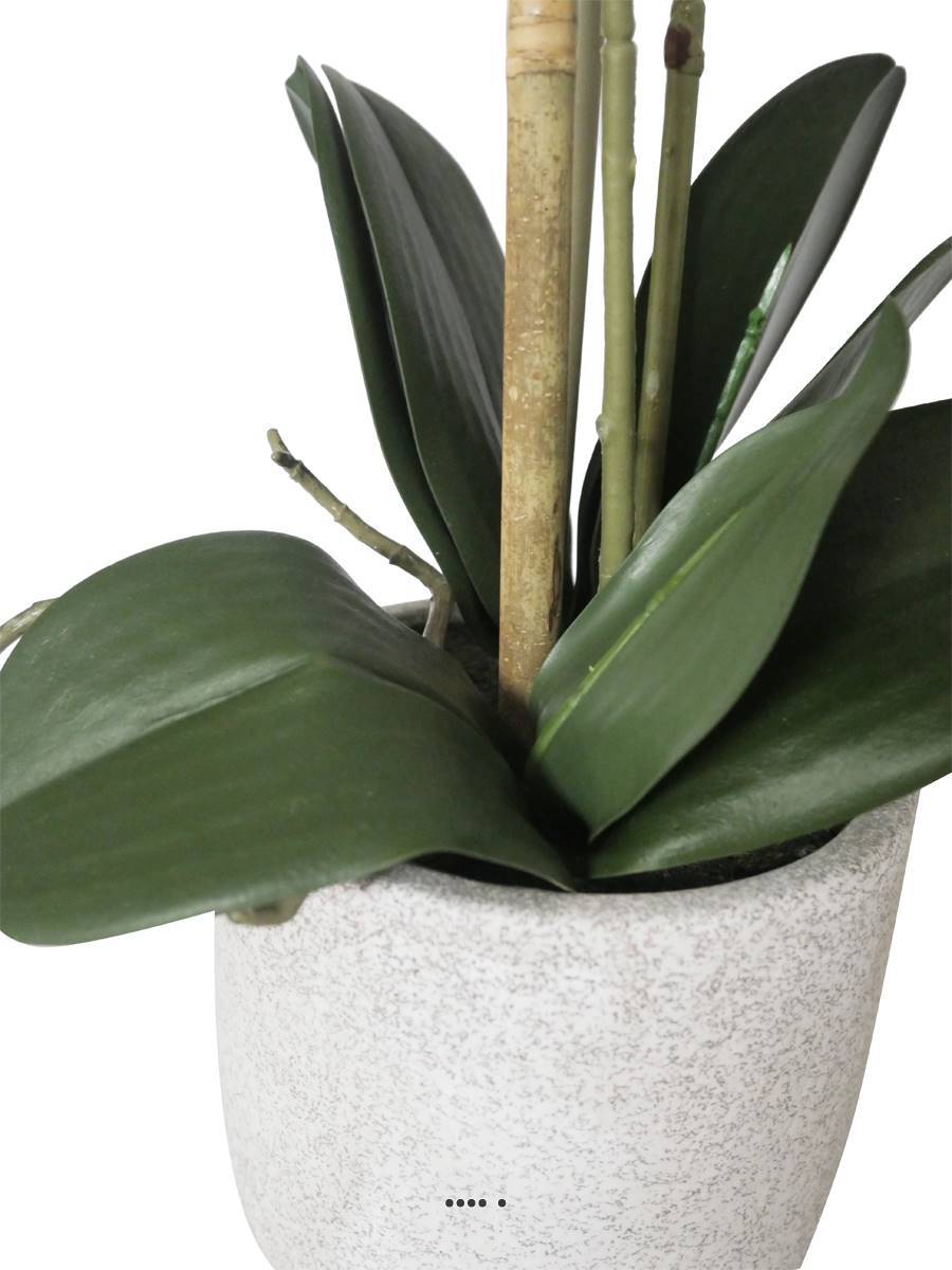 Artificielles - Orchidée phalaenopsis faux 2hampes 14fleurons en pot H60cm D20cm Crème - couleur: Crème - Imagen 4