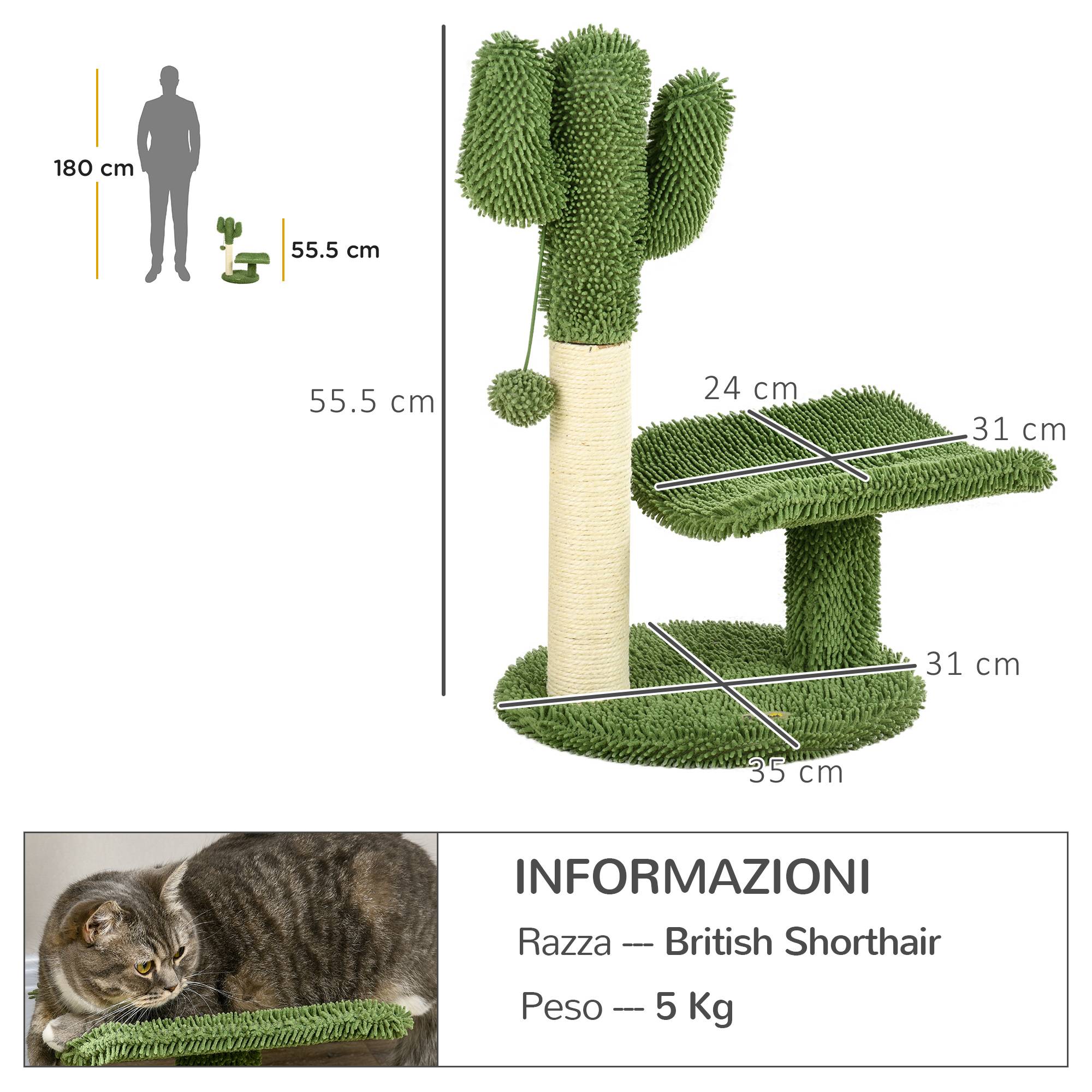 Arbre à chat sisal pour chatons design cactus griffoir et balle de jeu 35x31x55cm vert - ComfortXL Outdoor Living - Image 5