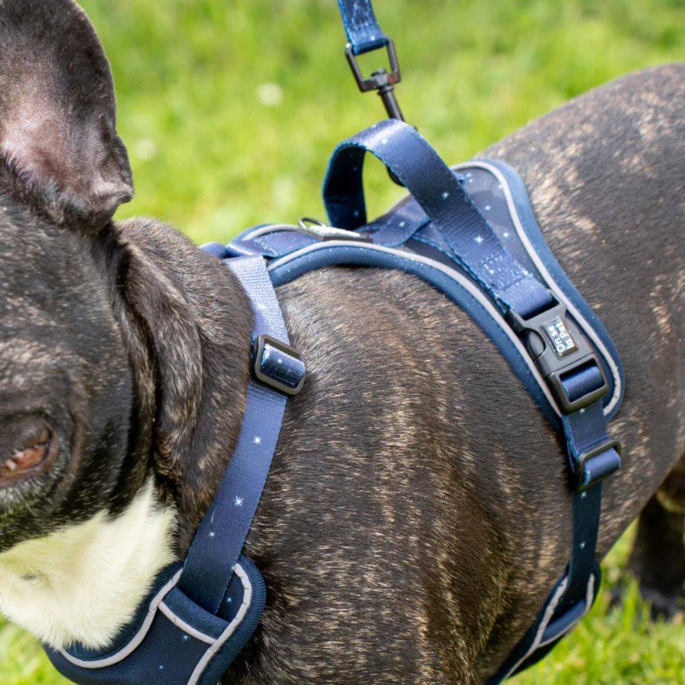 Harnais Premium pour chien confortable – Bleu Nuit – On se la Pet - Image 3