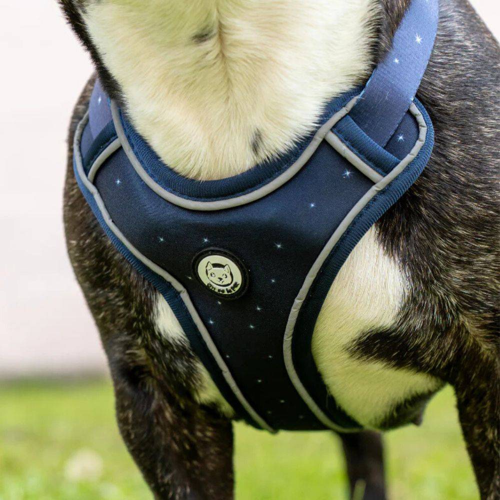 Harnais Premium pour chien confortable – Bleu Nuit – On se la Pet - Image 2