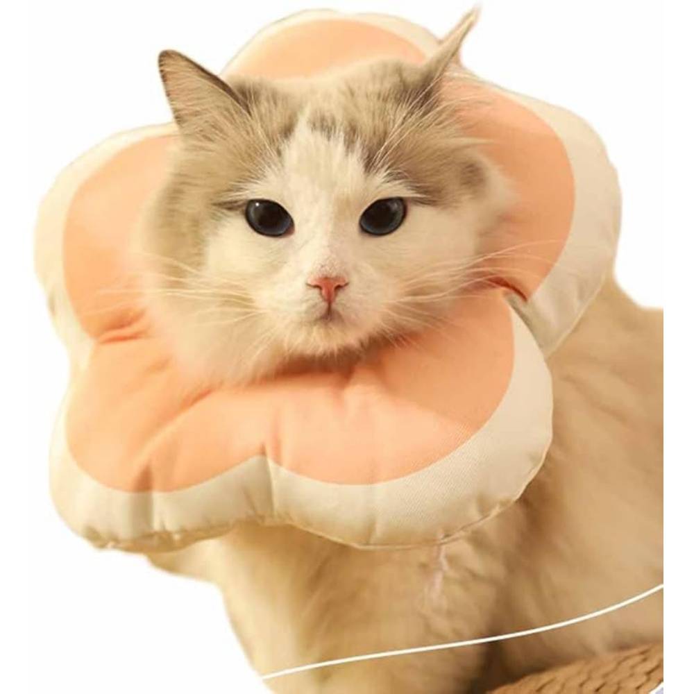 DtopbuyAge - Collier Anti - Morsure Réglable Doux Léger Chats Rose XS - Image 2