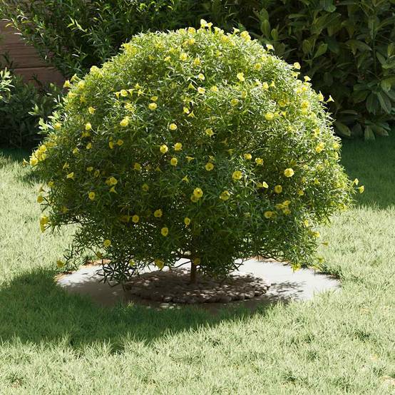Entourage d'Arbre Plat en Acier pour Jardin Protection Racines et Parterre Ø60 cm Blanc - ComfortXL Outdoor Living - Image 3