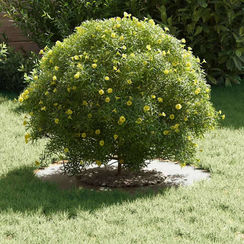 Entourage d'Arbre Plat en Acier pour Jardin Protection Racines et Parterre Ø60 cm Blanc - ComfortXL Outdoor Living - Image 3