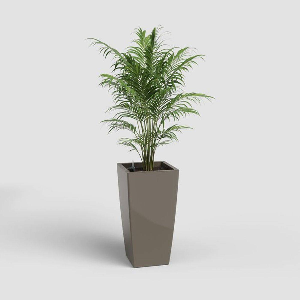 Pot carré auto-arrosant SWS Pisa 45 L taupe plastique anti-UV, Ø33 x H61 cm - Artevasi - Image 2