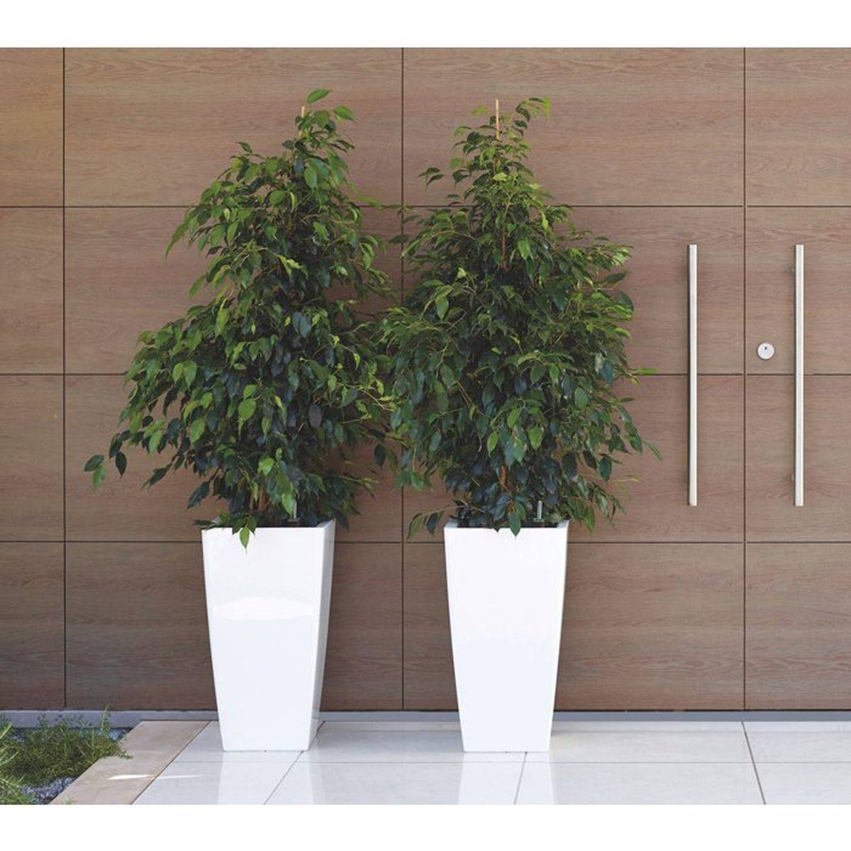 Pot carré auto-arrosant SWS Pisa 45 L taupe plastique anti-UV, Ø33 x H61 cm - Artevasi - Image 3