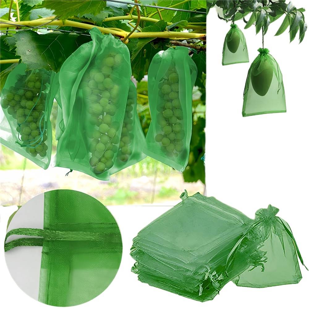 100 sacs de protection pour grappes de raisin - IntiMeg - Image 1