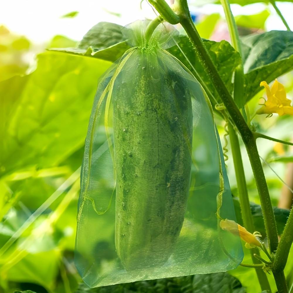 100 sacs de protection pour grappes de raisin - IntiMeg - Image 7