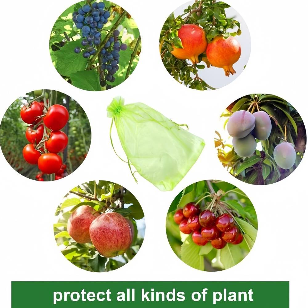 100 sacs de protection pour grappes de raisin - IntiMeg - Image 3