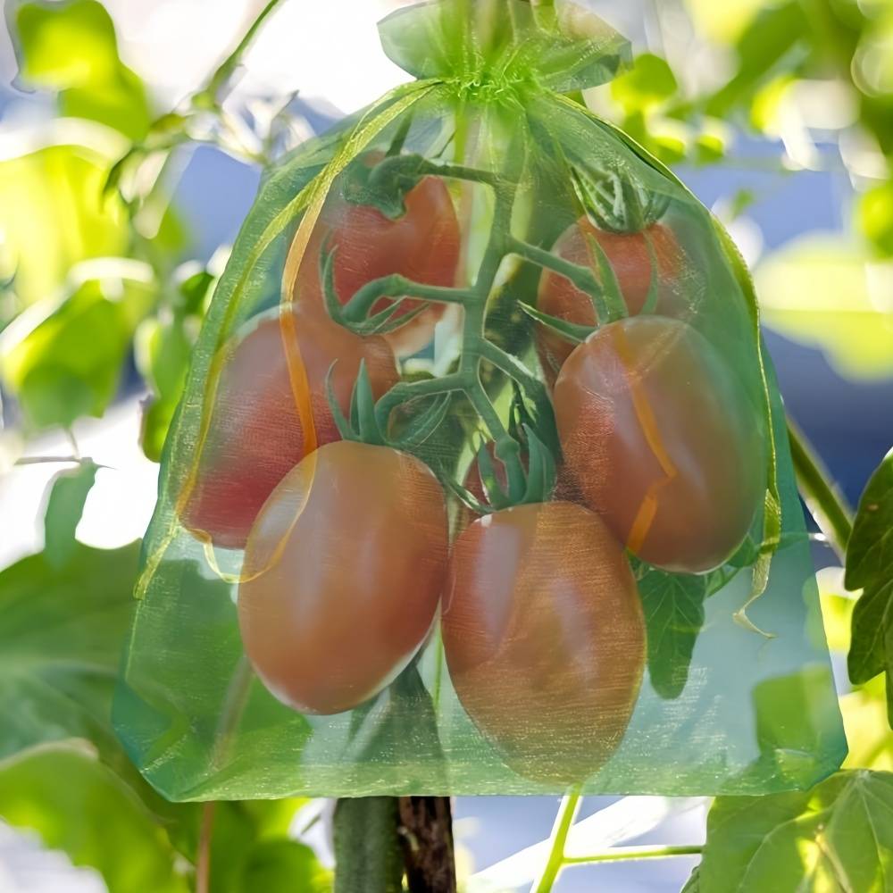 100 sacs de protection pour grappes de raisin - IntiMeg - Image 6