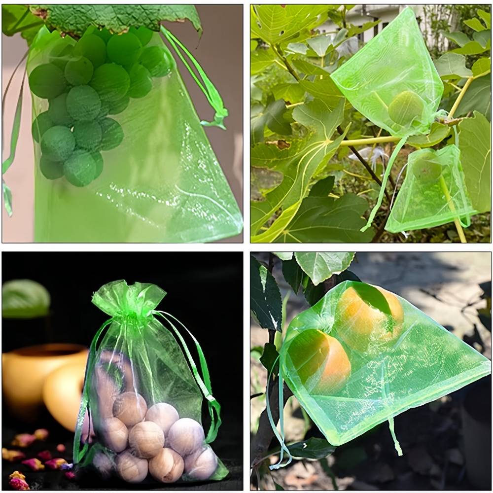 100 sacs de protection pour grappes de raisin - IntiMeg - Image 5