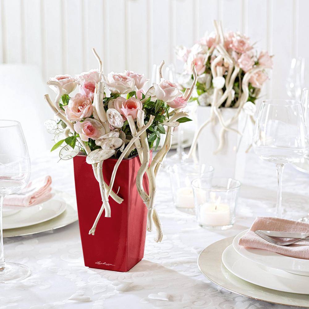 Lechuza - Pot de table Mini-Cubi - kit complet, blanc brillant 18 cm Lechuza - Imagen 6
