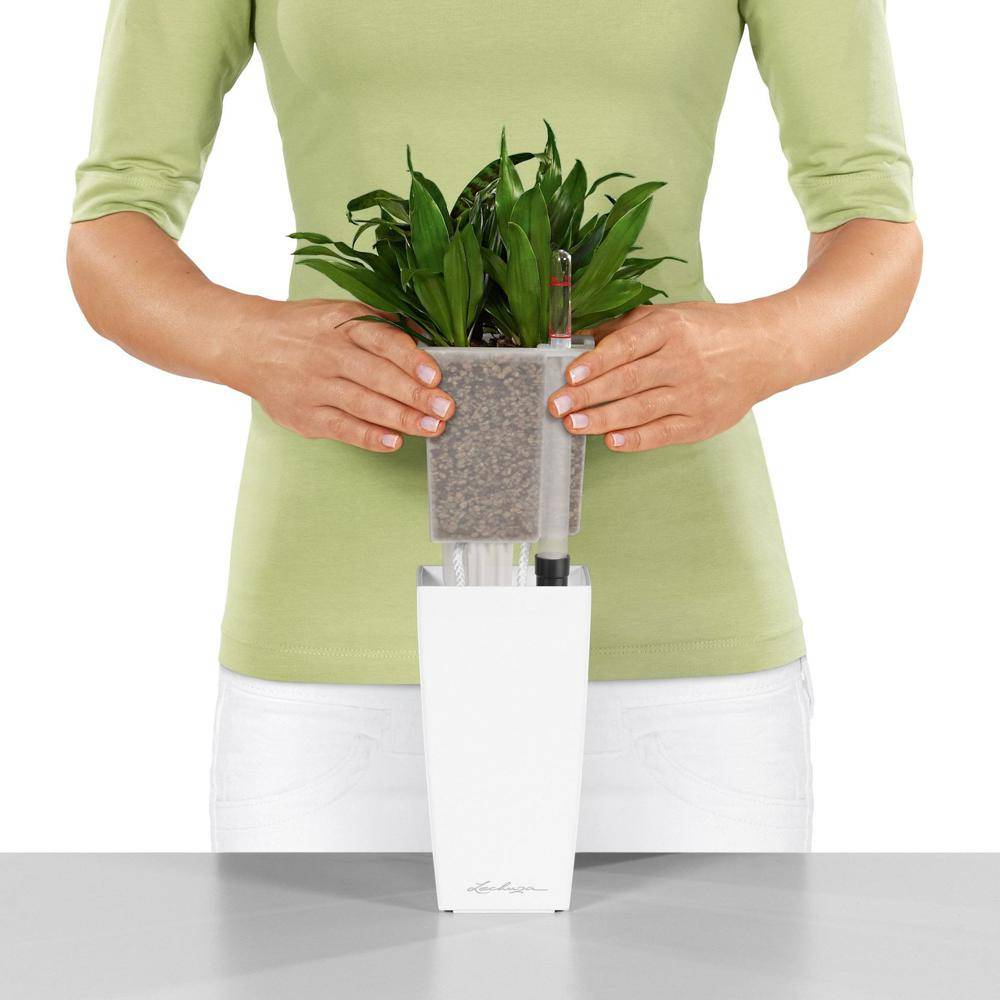 Lechuza - Pot de table Mini-Cubi - kit complet, blanc brillant 18 cm Lechuza - Imagen 2
