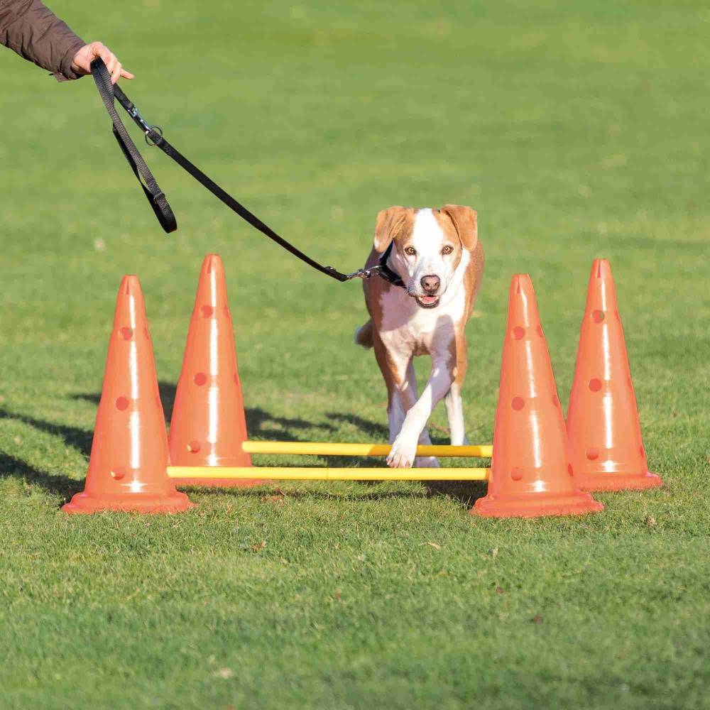 Trixie - Set d'obstacles pour chien - 4 cône - agility - Image 2