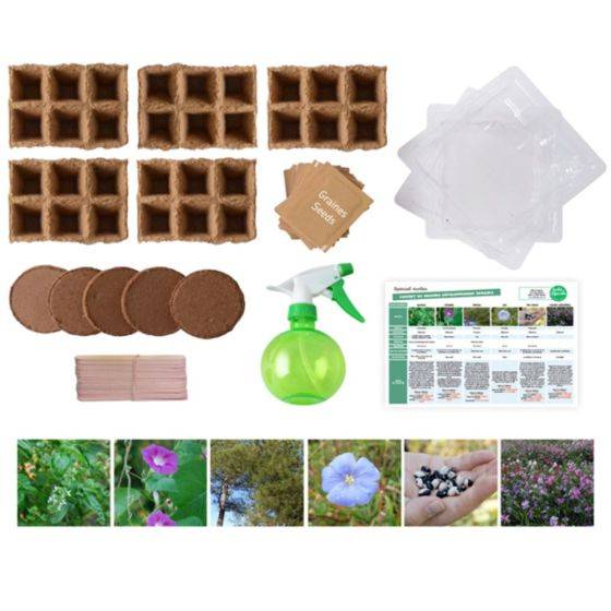 Radis et Capucine - Radis et Capucine - Coffret matériel et 30 sachets de graines : Développement durable - Imagen 2
