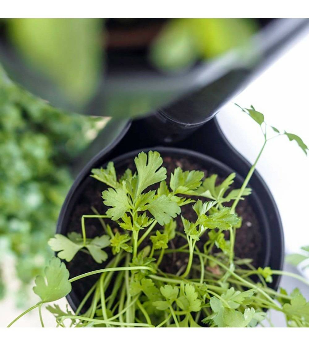 Jardinière verticale CitySens noire et bois teck avec 4 pots et arrosage automatique Wi-Fi - Image 3