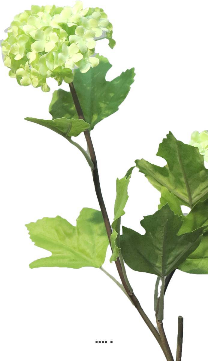 Artificielles - Branche de Viorne artificielle, 2 têtes, H 50 cm Vert - BEST - couleur: Vert - Imagen 3