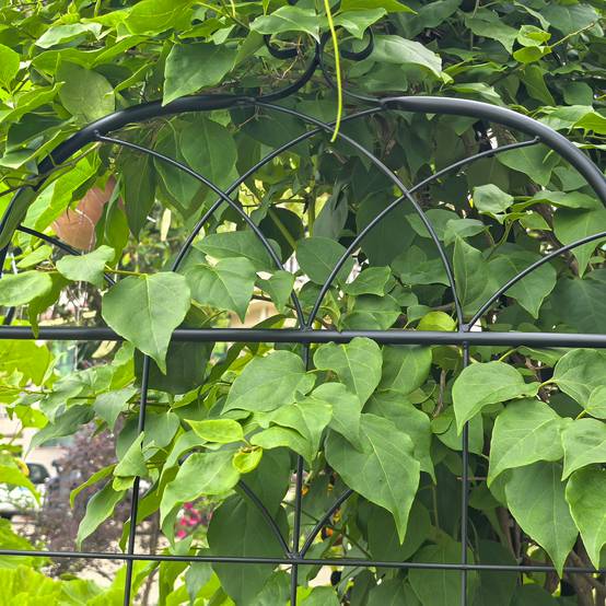 Grille jardin métal noir 50 x 2 x 180 cm - PANGIVO - Image 9