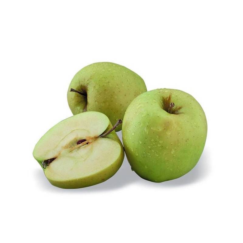 Pommier nain Pom' Pousse - Nains de jardins® - Bon rendement - Pot de 5L - 40/80 cm - De 1,50 m à 2,00 m - Image 1