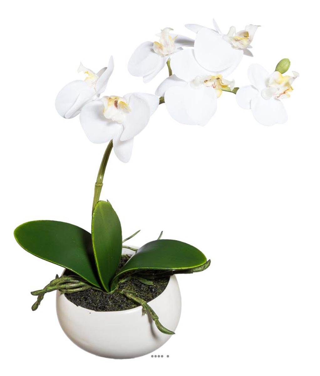 Artificielles - Orchidee artificielle 1 hampe en pot ceramique H 26 cm Blanc neige - couleur: Blanc neige 100