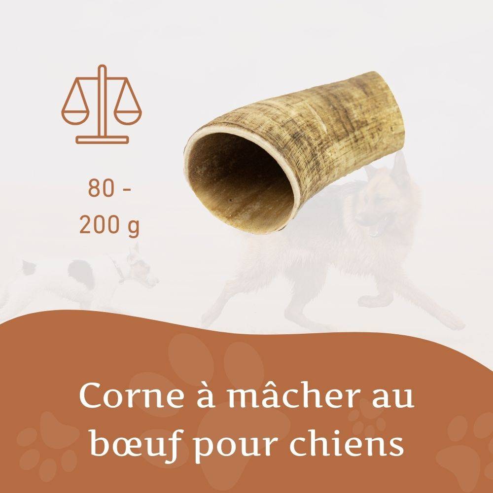 Wildfang - Wildfang - Corne à mâcher de boeuf - 3 pieces - M - Image 3
