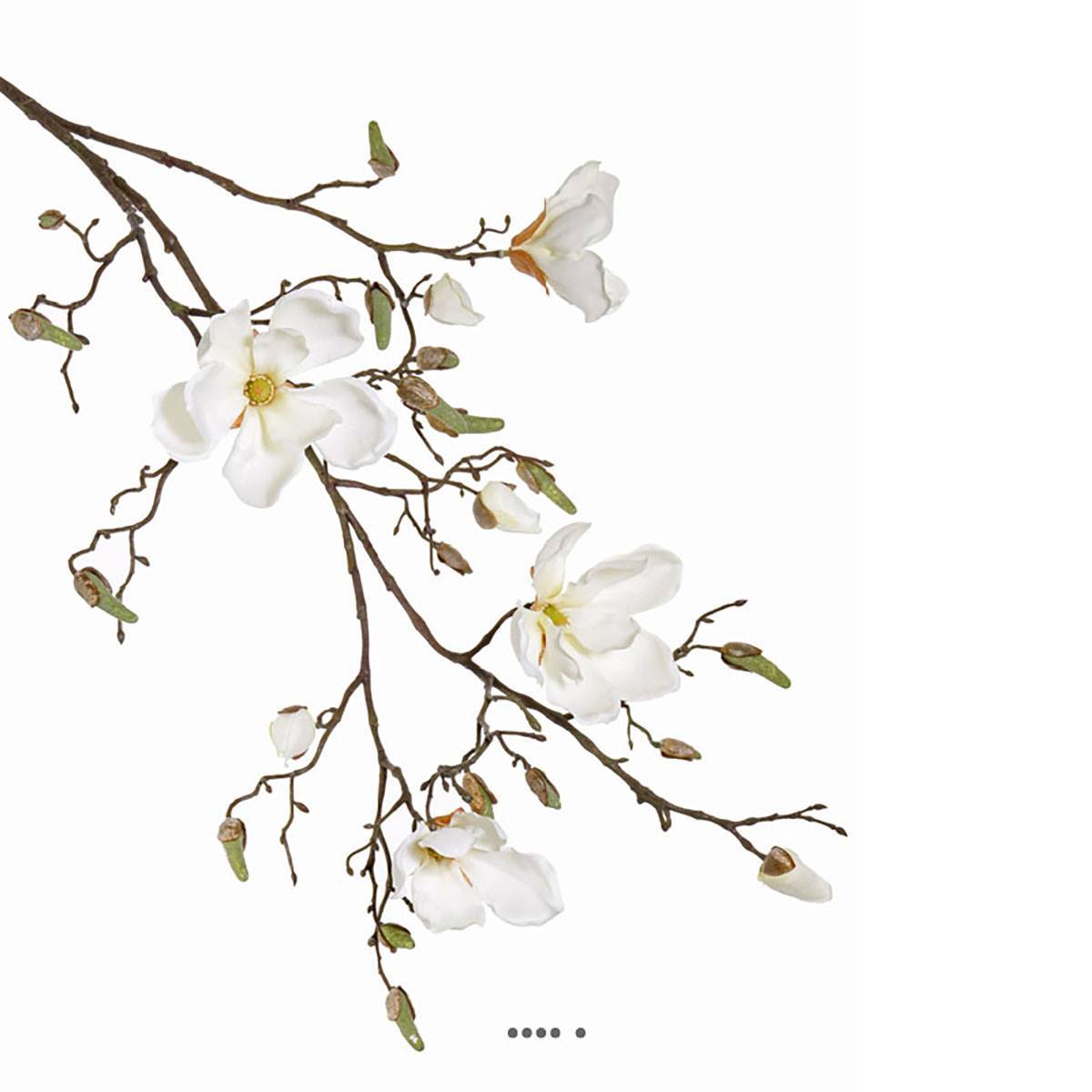 Branche de magnolia artificiel 4 fleurs 22 boutons H 107 cm Crème - couleur: Crème - Image 1