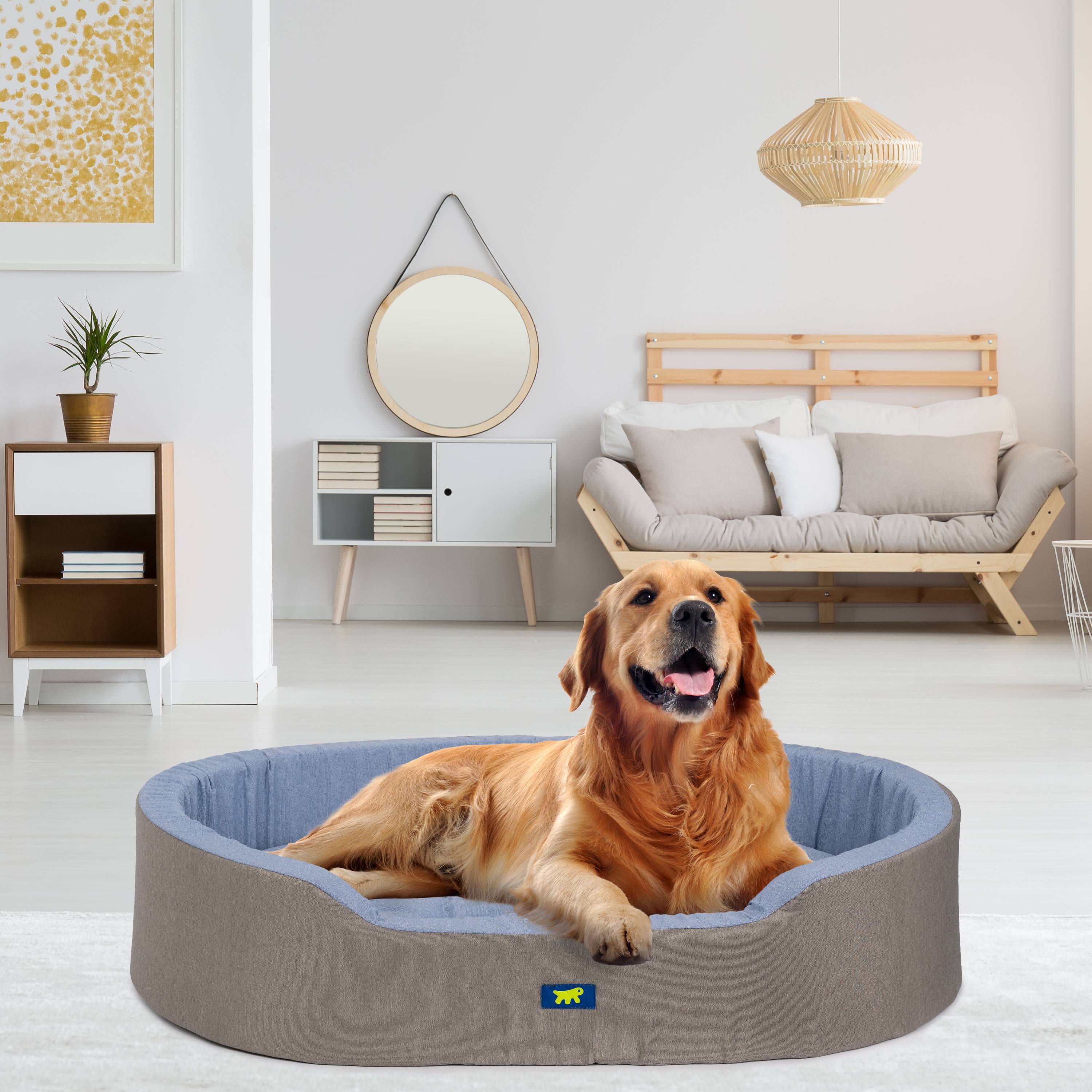Ferplast - Ferplast Panier Chien Dandy, Coussin Amovible et Lavable, Housse en Coton avec Rembourrage Doux, Grand Lit pour Chien, 110 x 70 x H 23 cm, Bleu Clair - Imagen 3