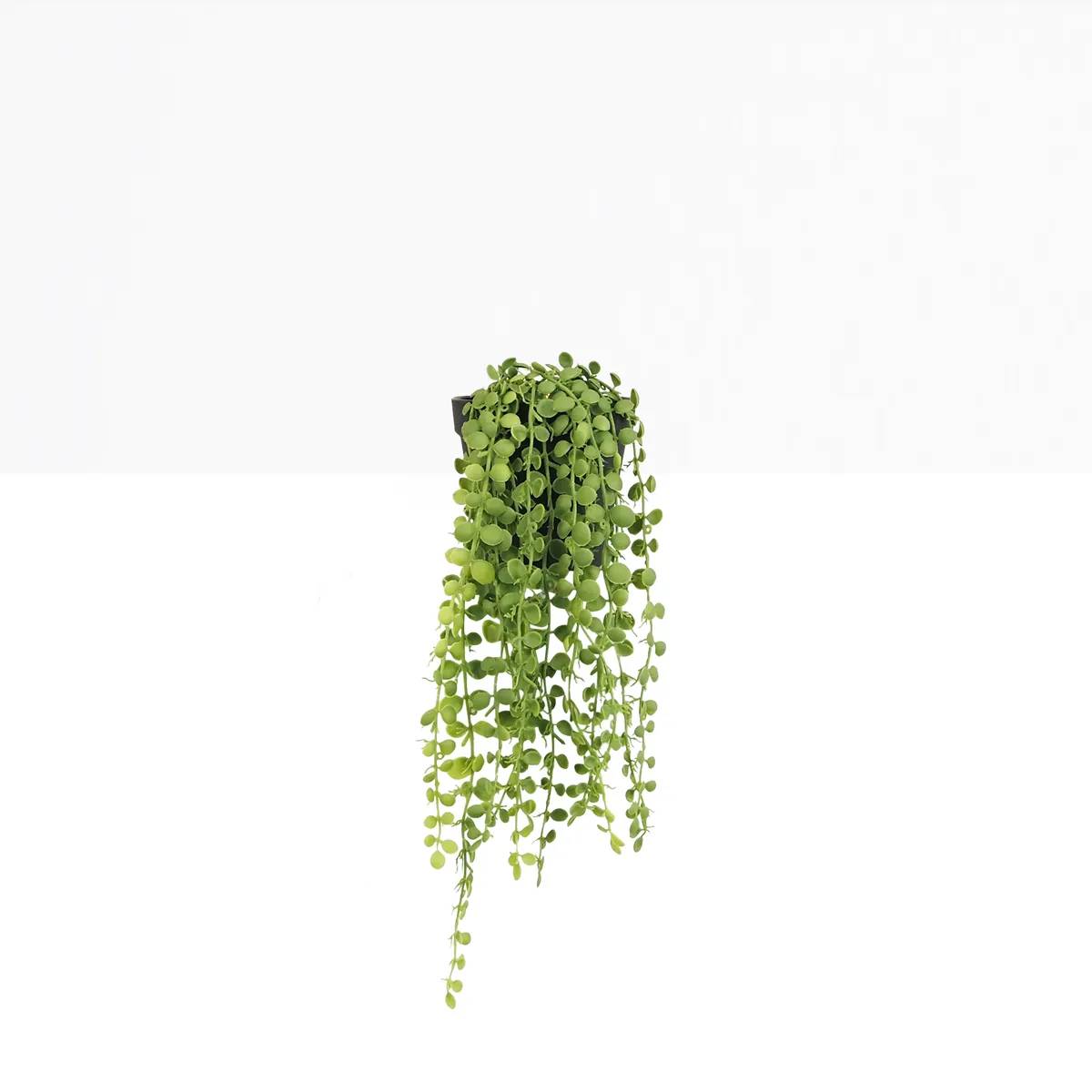 Ligne Deco - Plante succulente retombante artificielle 40cm - Image 2