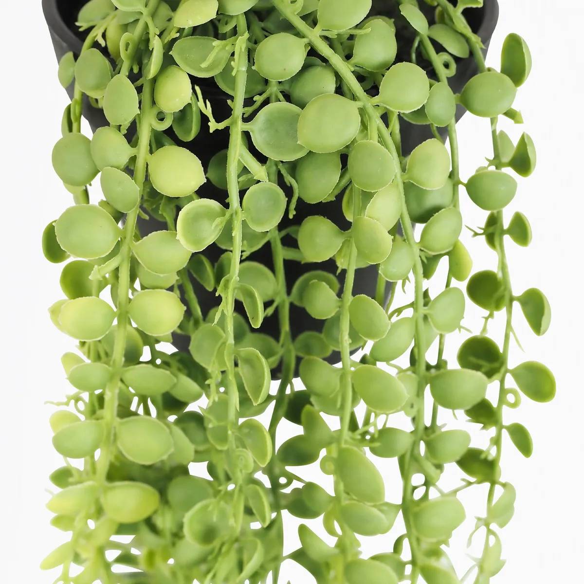 Ligne Deco - Plante succulente retombante artificielle 40cm - Image 4