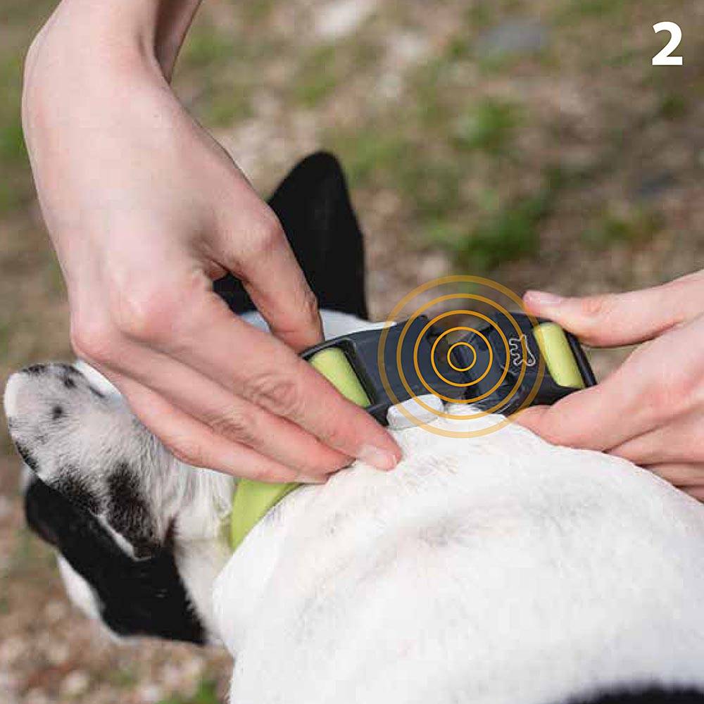 Ferplast - Collier pour Chiens EVOLUTION C25/70 avec Boucle Magnétique, Hypoallergénique, Lavable, Orange - Imagen 4