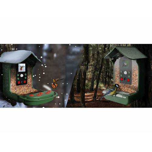 Mangeoire à oiseaux avec Caméra Full HD MAGNETICLAND - Imagen 4