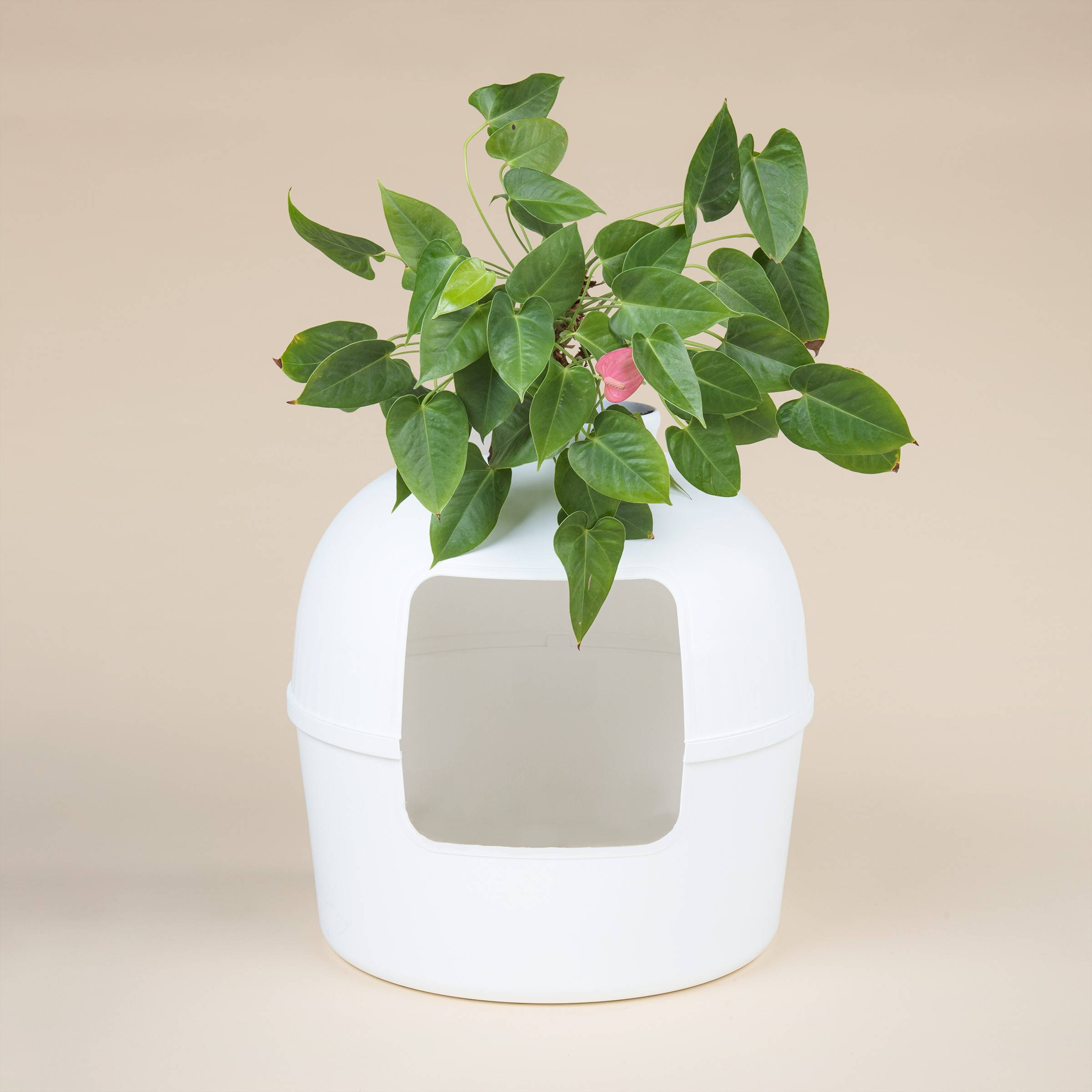 Rhr Concepts Bv - Bac à litière Flower XXL, Toilette cachée pour chat (Blanc) - RHR Concepts BV - Imagen 2