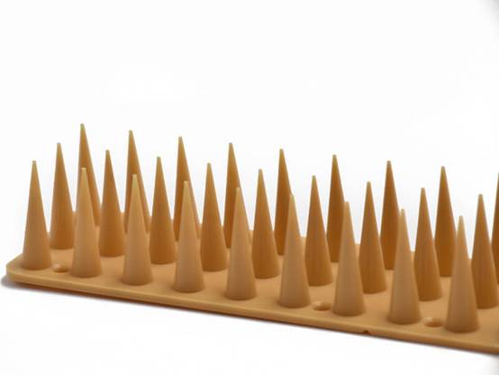 Pics anti-intrusion - Chats - 1ml Beige - Image 1