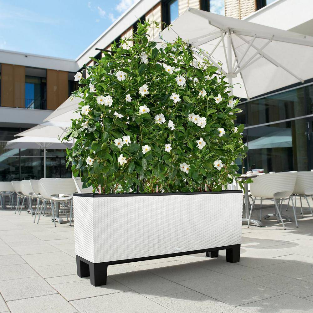 Lechuza - Pot Trio Cottage 40 - kit complet, blanc - 130 cm Lechuza - Imagen 4