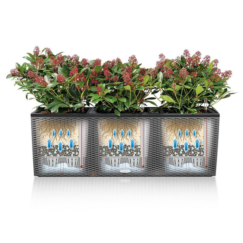 Lechuza - Pot Trio Cottage 40 - kit complet, blanc - 130 cm Lechuza - Imagen 6
