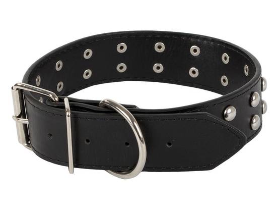 Collier chien clouté cuir eco réglable L - Image 7