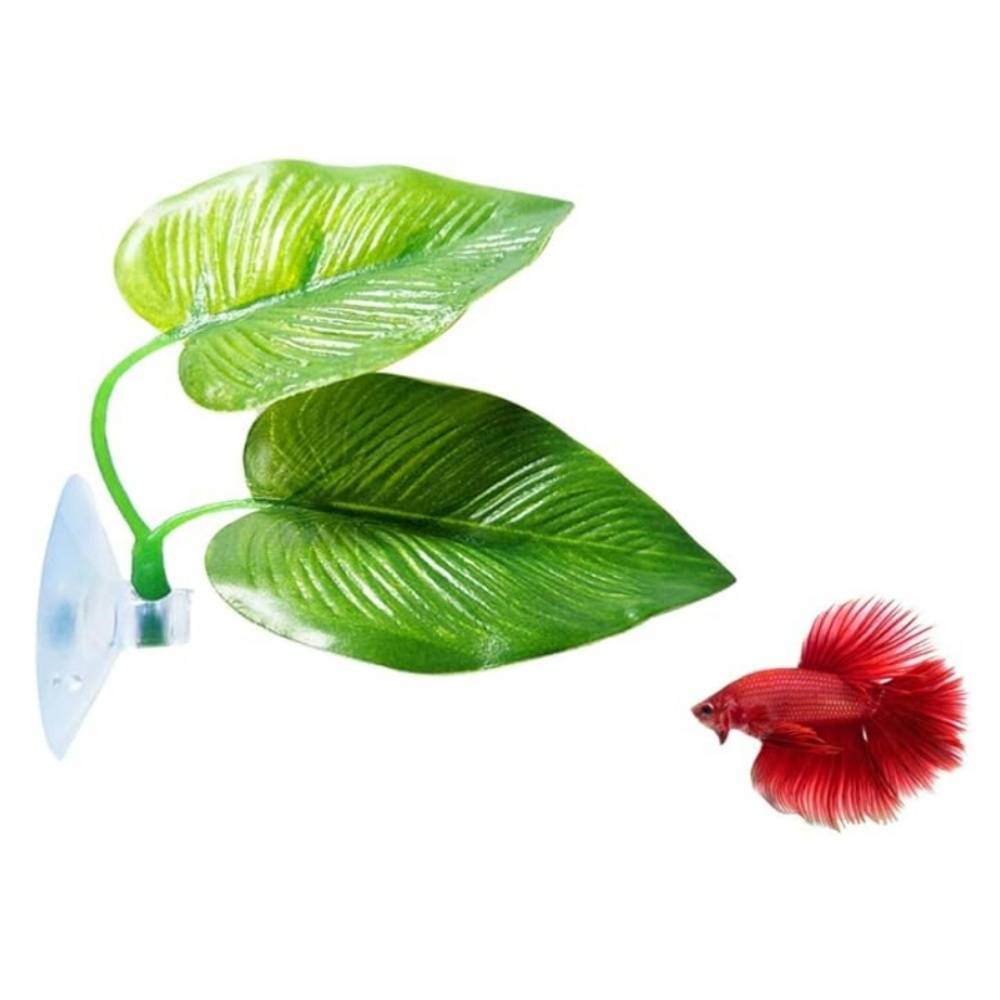 Cushions de feuille pour poissons (2 pcs) IntiMeg