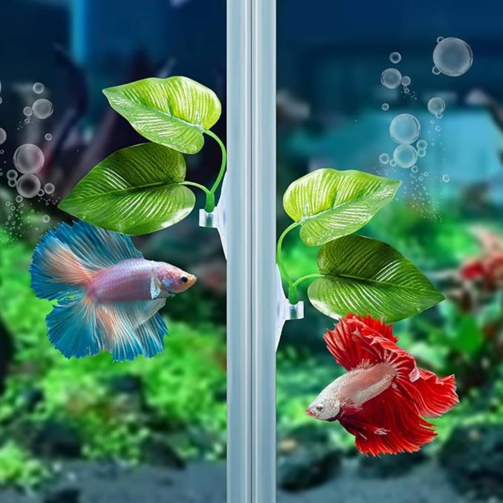 IntiMeg - Cushions de feuille pour poissons (2 pcs) IntiMeg - Image 4