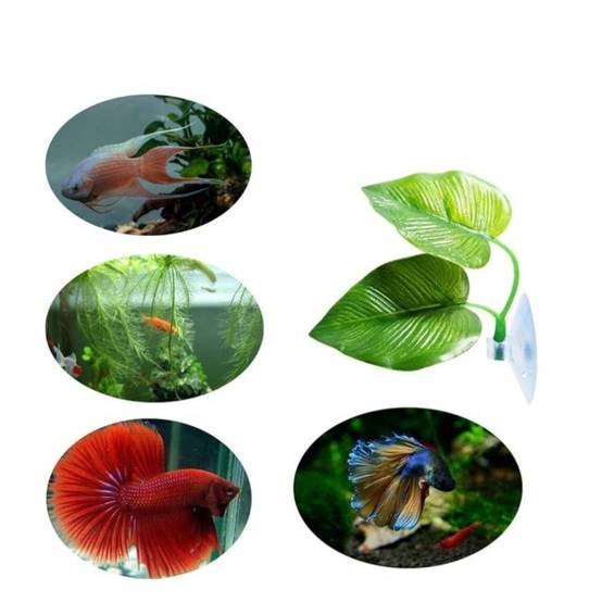 IntiMeg - Cushions de feuille pour poissons (2 pcs) IntiMeg - Image 5