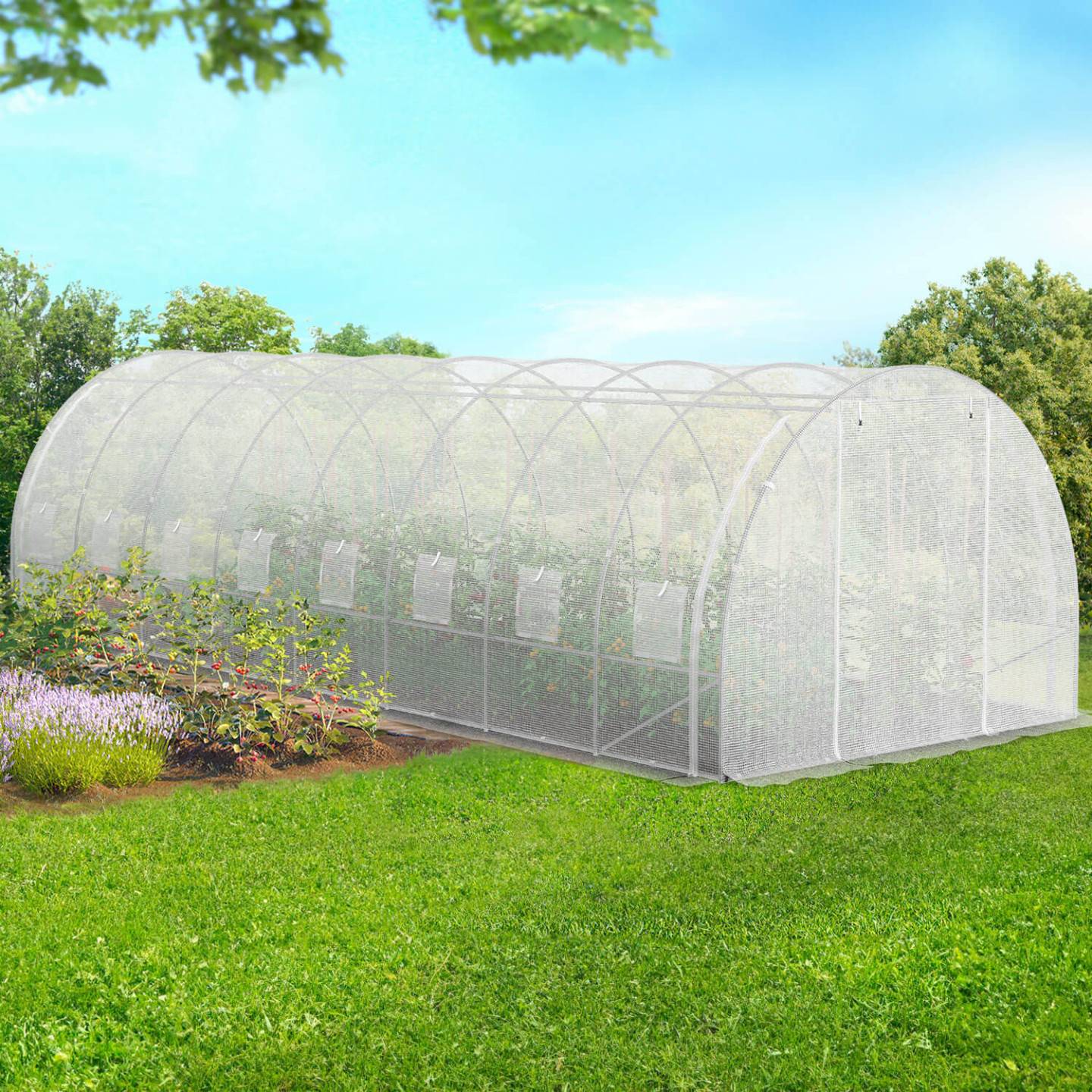 IDMARKET - Serre de jardin tunnel 24m² 8 x 3 x 2 m acier galvanisé + bâche anti-UV avec porte et fenêtres DES ANDES blanche toutes saisons - Image 3