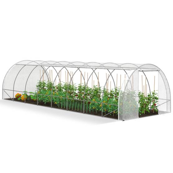 IDMARKET - Serre de jardin tunnel 24m² 8 x 3 x 2 m acier galvanisé + bâche anti-UV avec porte et fenêtres DES ANDES blanche toutes saisons - Image 2