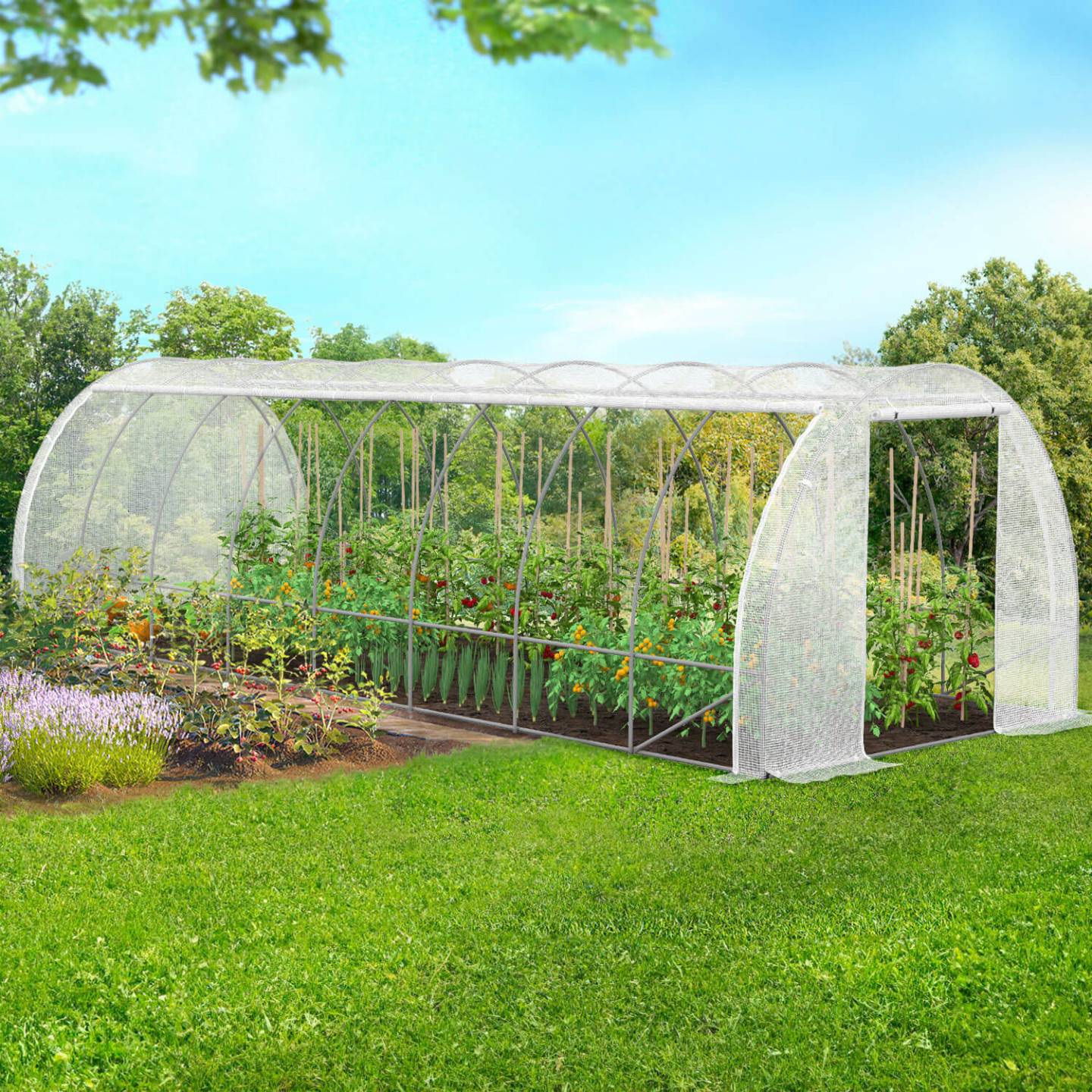 IDMARKET - Serre de jardin tunnel 24m² 8 x 3 x 2 m acier galvanisé + bâche anti-UV avec porte et fenêtres DES ANDES blanche toutes saisons - Image 1