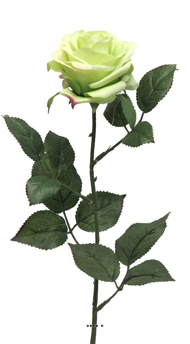 Artificielles - Rose factice Paris H64cm tête de D9cm 12 feuilles tissu Vert été -BEST - couleur: Vert été - Imagen 2