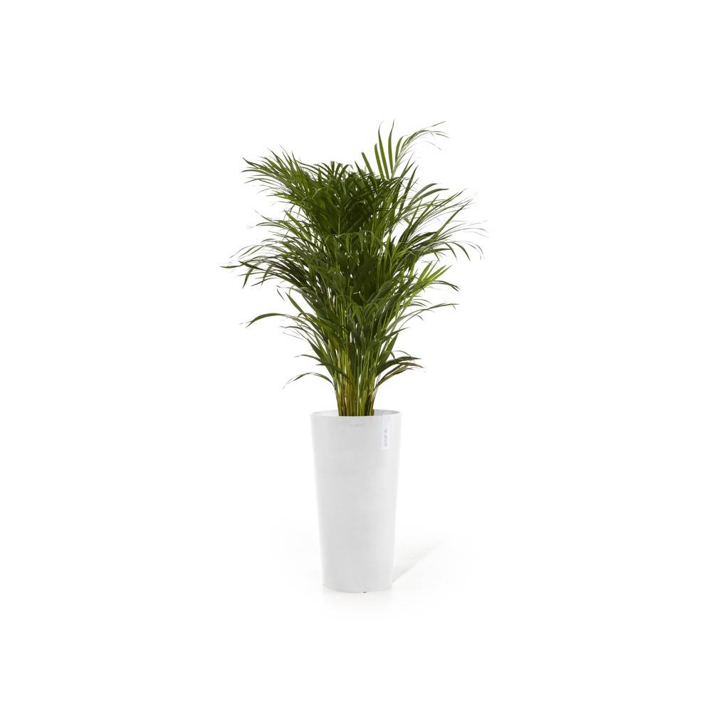 Ecopots - Pot Amsterdam Mid High 66 Pure White ECOPOTS - Imagen 2
